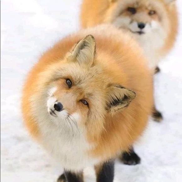 MAKE AN OFFER!! - Picture 5 of 5